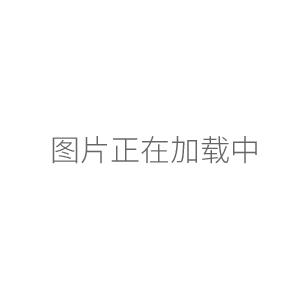 JB300-SH數顯強力電動攪拌機